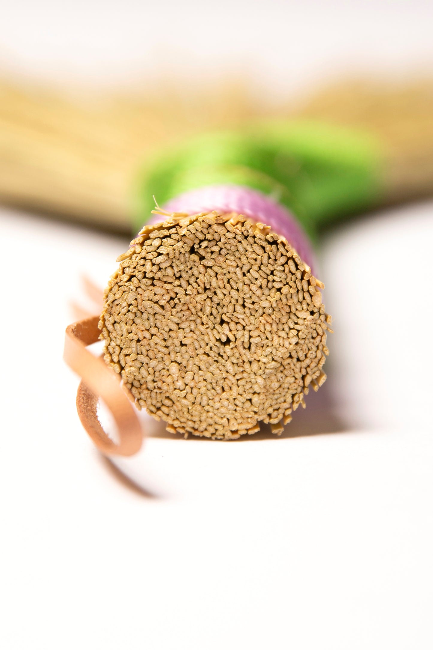 Purple and Green Mini Hand Broom | Handcrafted Heritage Broom | Bristol Broomworks