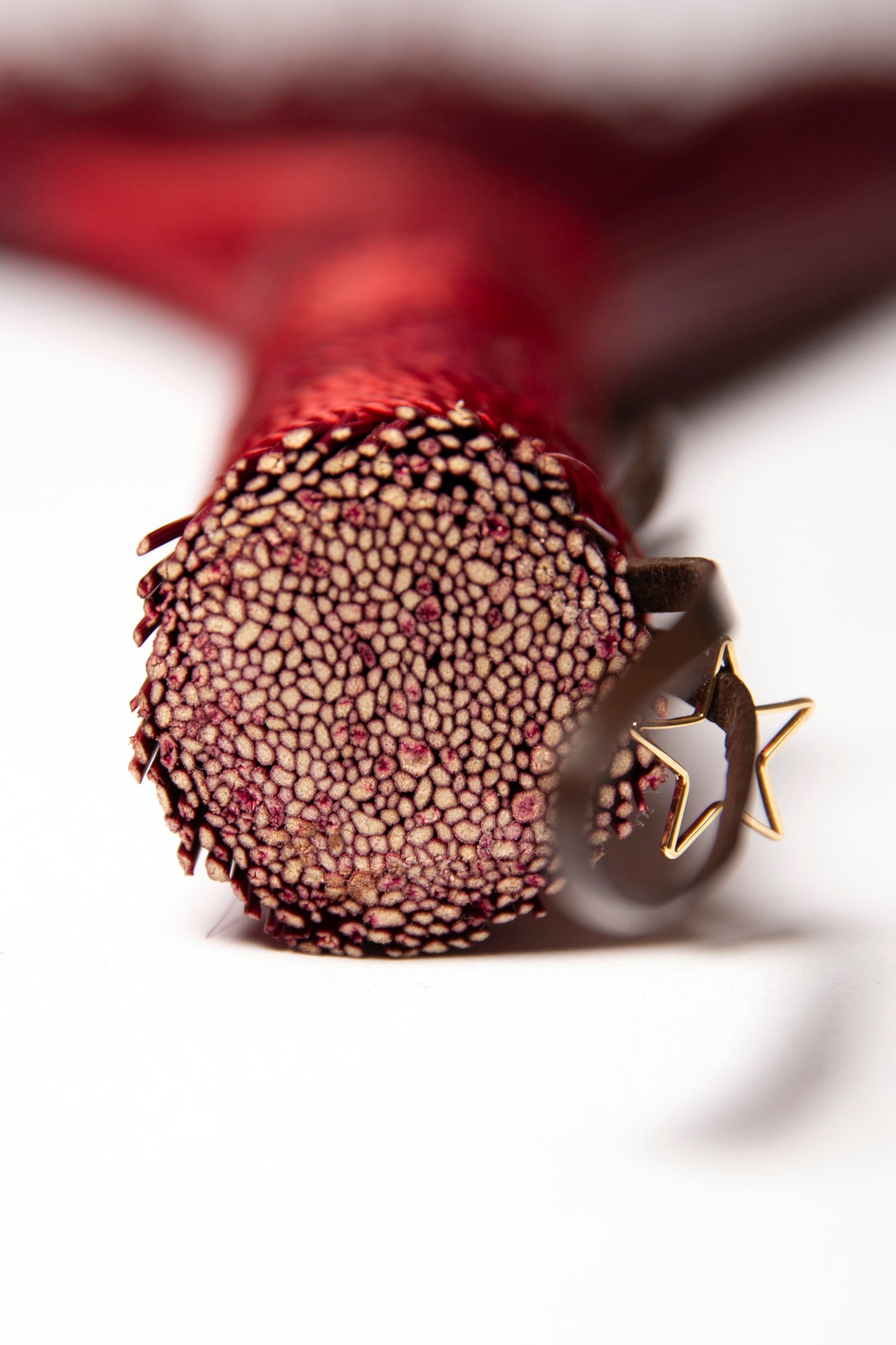 Burgundy Full Colour Hand Broom | Handcrafted Heritage Broom | Bristol Broomworks