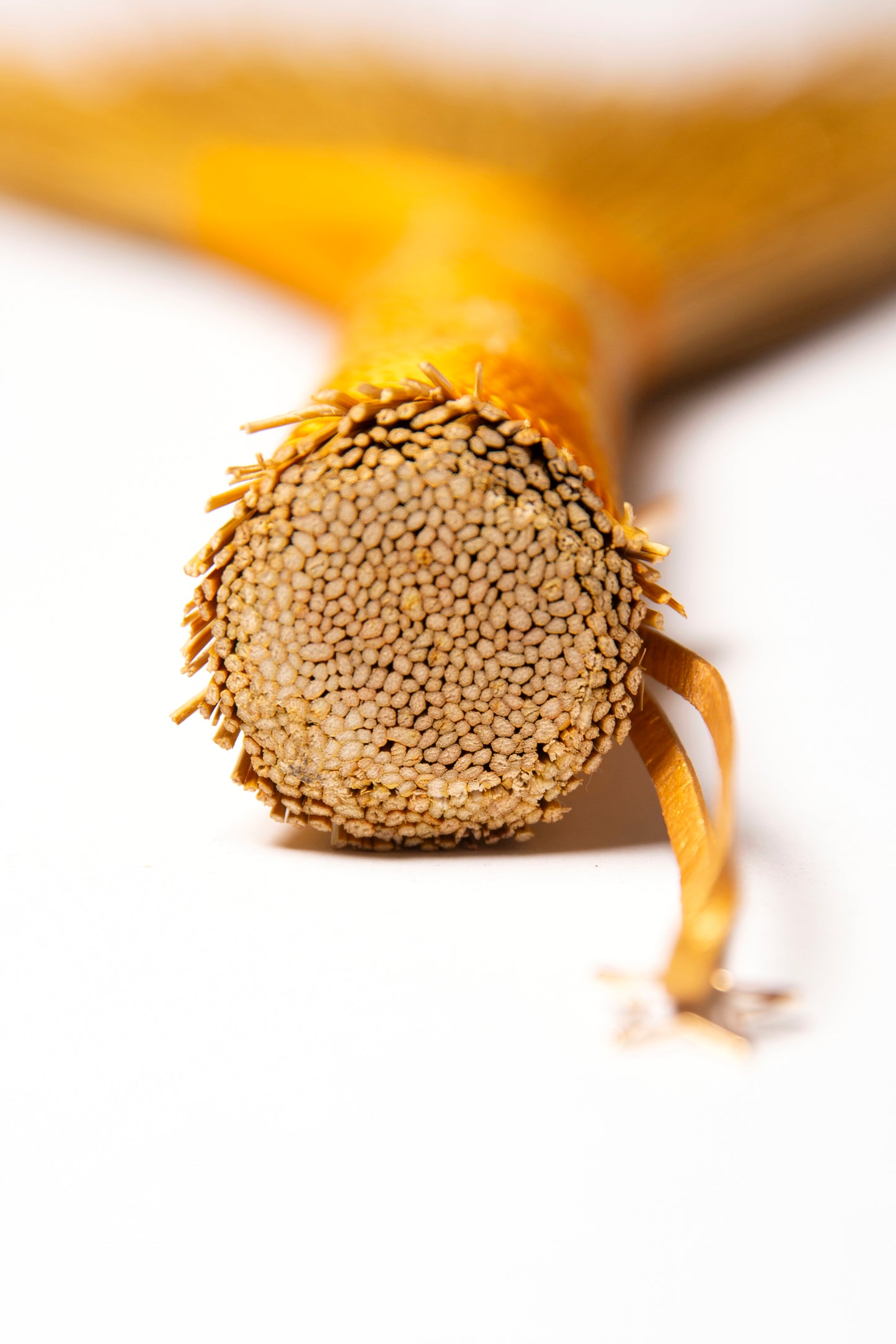 Yellow Full Colour Hand Broom | Handcrafted Heritage Broom | Bristol Broomworks