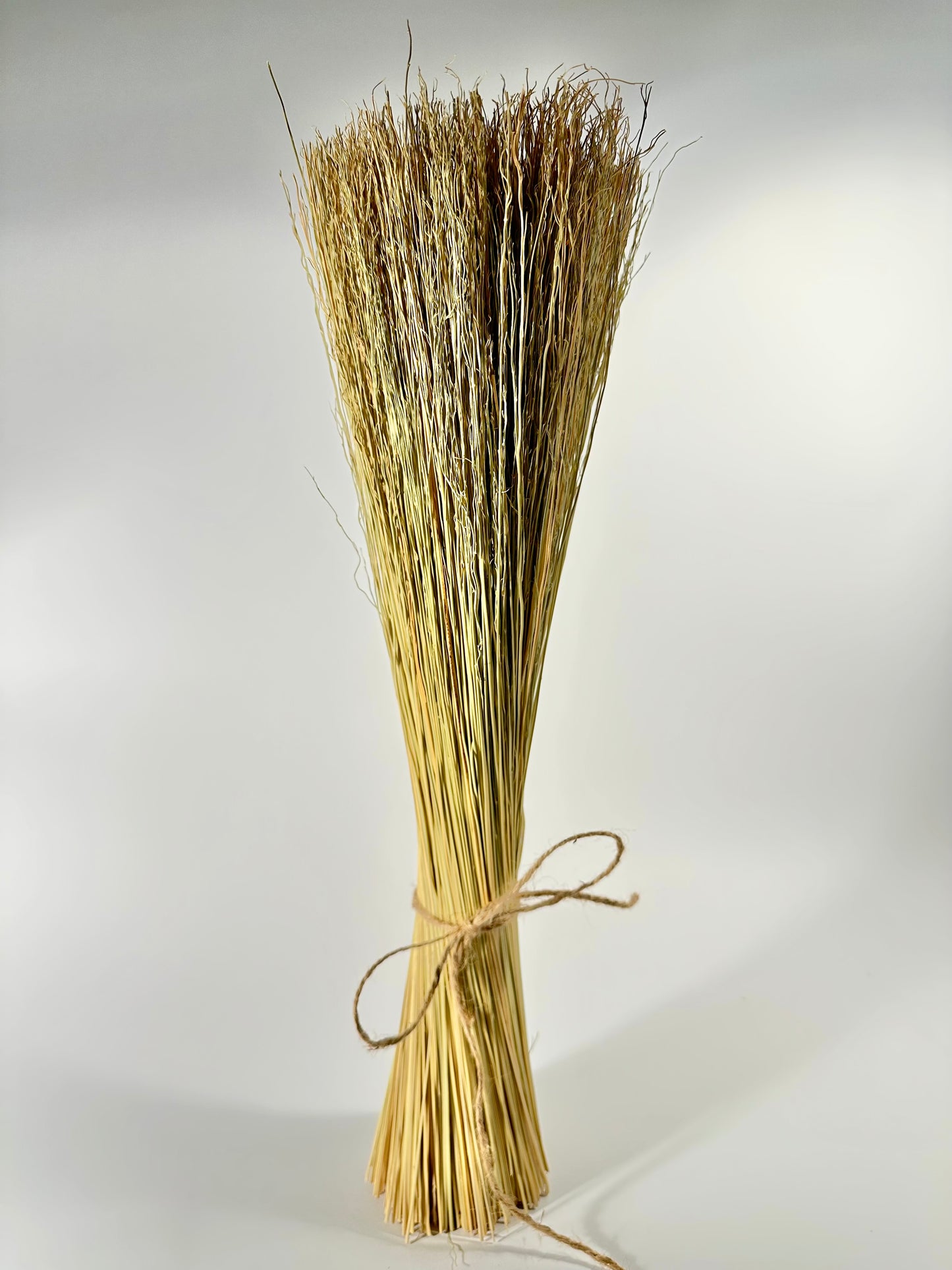 Broomcorn (Sorghum) 46cm Hurl Bundles