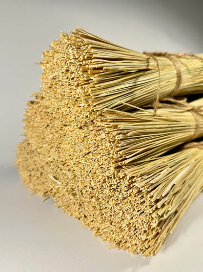 Broomcorn (Sorghum) 46cm Hurl Bundles